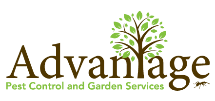 Advantage Pest Control and Garden Services